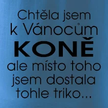 Chtěla jsem k Vánocům koně