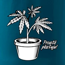 Konopi prostě pěstuju