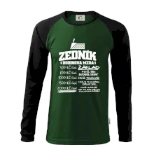 Hodinová mzda zedník