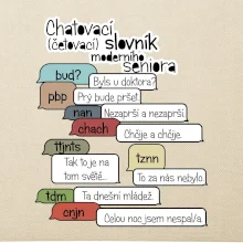 Chatovací slovník moderního seniora (Běžící češtinář)