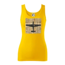 Egyptské hieroglyfy letadlo