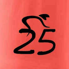 Cyklista slaví pětadvacítku (25)