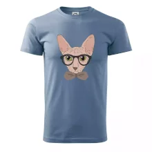 Hipster sphynx