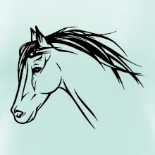 Kůň - hlava celá