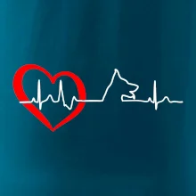 Německý ovčák ekg