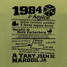 1984 v kostce