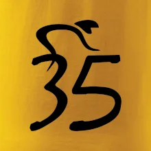 Cyklista slaví pětatřicítku (35)