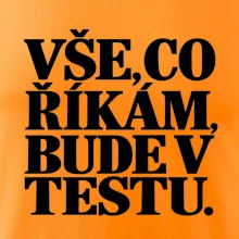 Vše co říkám bude v testu
