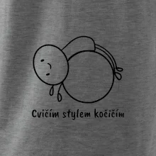 Cvičím stylem kočičím