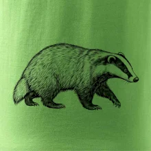 Zvířata Krkonoš – jezevec lesní