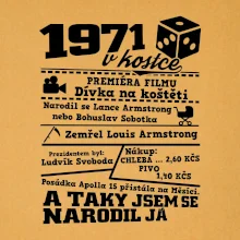 1971 v kostce
