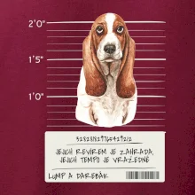 Baset - lump a darebák