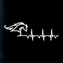 Hlava koně EKG