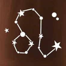 Souhvězdí - Leo - Lev