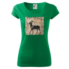 Egyptské hieroglyfy koza