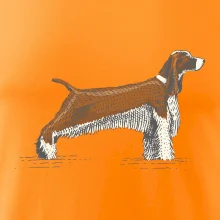 Vintage Springer spaniel