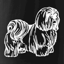 Shih-tzu - chlupatý