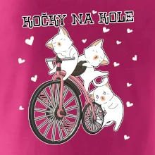 Kočky na kole