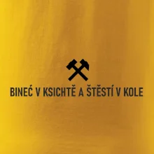 BINEĆ V KSICHTĚ A ŠTĚSTÍ V KOLE﻿