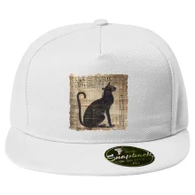 Egyptské hieroglyfy kočka