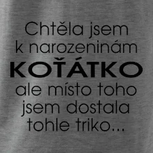 Chtěla jsem dostat k narozeninám koťátko