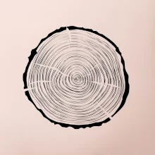 Letokruhy 35 bez věku