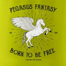 Pegasus fantasy