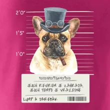 Lump a darebák francouzský buldoček