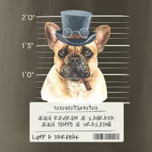 Lump a darebák francouzský buldoček