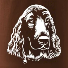 Kokršpaněl - hlava kreslená