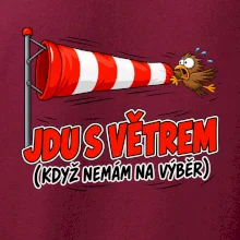 Jdu s větrem