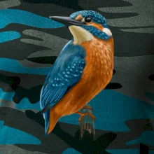 Lednáček kreslený