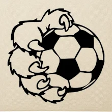 Medvědí tlapa fotbal