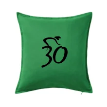 Cyklista slaví třicítku (30)