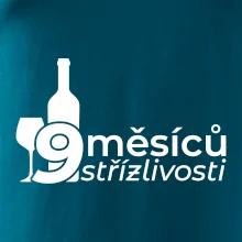 9 měsíců střízlivosti