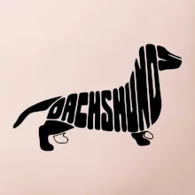 Jezevčík - Dachshund