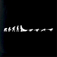 Evoluce psí spřežení