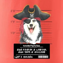 Lump a darebák husky