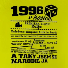 1996 v kostce