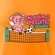 Nohejbalové prasátko na síti