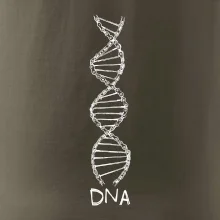 Cyklistovo DNA