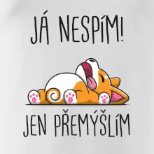 Já nespím, jen přemýšlím