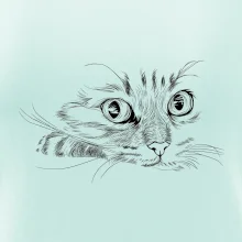 Kočka obličej kreslený