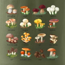 Atlas hub - triko s houbami