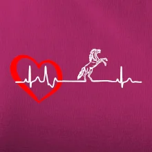 Moje srdce bije pro koně