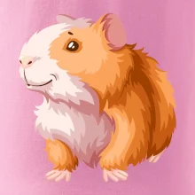 Morče - kreslené, bílo oranžové