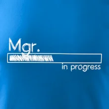 In progress titul Mgr.  magistr / magistra