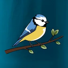 Sýkorka modřinka na větvi