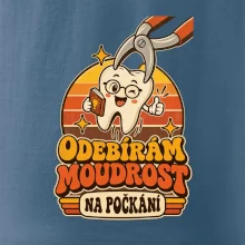 Odebírám moudrost na počkání