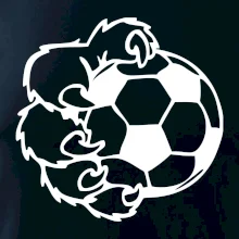 Medvědí tlapa fotbal